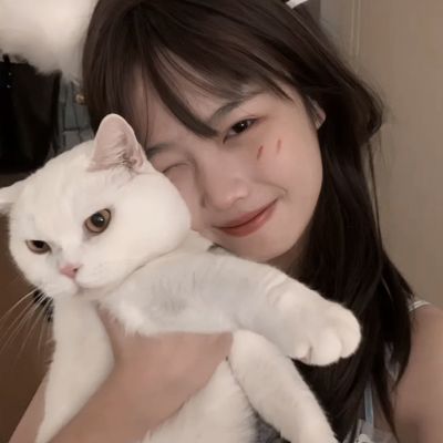 开云体育在线安卓版