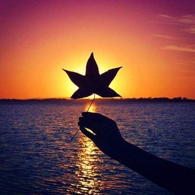 特朗普：伊朗最好尽快认真起来 否则将没有回头路且局面“不会好看”